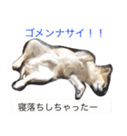 こもなめの日常（個別スタンプ：22）