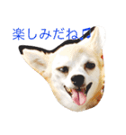 こもなめの日常（個別スタンプ：27）