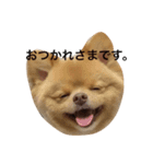 とんくんスタンプ（個別スタンプ：5）