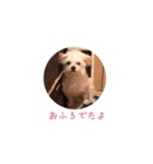 もふもふたち（個別スタンプ：2）