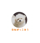 もふもふたち（個別スタンプ：5）