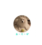 もふもふたち（個別スタンプ：7）
