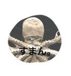うみのなかま？（個別スタンプ：4）