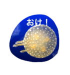 うみのなかま？（個別スタンプ：5）