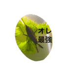 うみのなかま？（個別スタンプ：6）