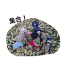 ボギ男（個別スタンプ：16）