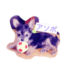 かわいいヨーチー（個別スタンプ：1）