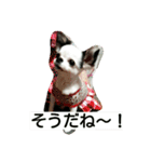 あきちゃん写真集（個別スタンプ：2）