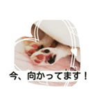 あきちゃん写真集（個別スタンプ：6）