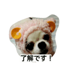 あきちゃん写真集（個別スタンプ：8）