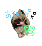 みみたん日常（個別スタンプ：1）