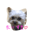おまえちゃん（個別スタンプ：2）
