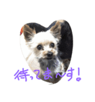おまえちゃん（個別スタンプ：8）