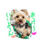 おまえちゃん（個別スタンプ：11）