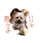 おまえちゃん（個別スタンプ：14）