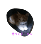 丸山レオ（個別スタンプ：2）