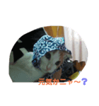丸山レオ（個別スタンプ：4）