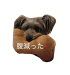 リブラとナナ（個別スタンプ：7）