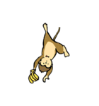 ポイントアニマル（個別スタンプ：16）