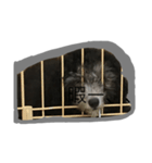 ふうさん、（個別スタンプ：8）