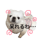 ぽてちスタンプ（個別スタンプ：2）