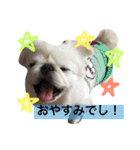 ぽてちスタンプ（個別スタンプ：4）