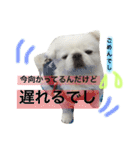 ぽてちスタンプ（個別スタンプ：5）