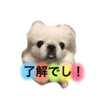 ぽてちスタンプ（個別スタンプ：8）