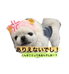ぽてちスタンプ（個別スタンプ：9）