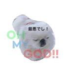 ぽてちスタンプ（個別スタンプ：11）