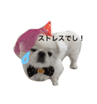 ぽてちスタンプ（個別スタンプ：14）