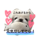 ぽてちスタンプ（個別スタンプ：15）