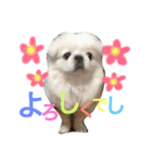 ぽてちスタンプ（個別スタンプ：16）
