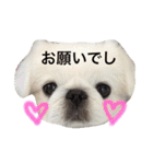 ぽてちスタンプ（個別スタンプ：18）