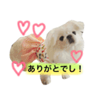 ぽてちスタンプ（個別スタンプ：25）