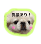 ぽてちスタンプ（個別スタンプ：27）