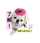 ぽてちスタンプ（個別スタンプ：30）