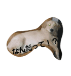 GW lulu（個別スタンプ：6）