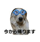 GW lulu（個別スタンプ：11）