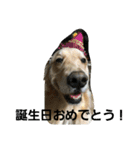 GW lulu（個別スタンプ：13）