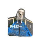 GW lulu（個別スタンプ：15）