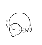The Round~Cat（個別スタンプ：6）