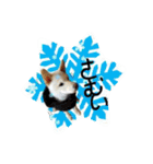 dangomochi,greeting（個別スタンプ：26）
