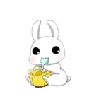 foodie rabbit（個別スタンプ：19）