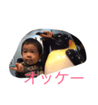 o-suke（個別スタンプ：4）
