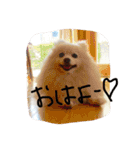 こっちゃん.シリーズ1（個別スタンプ：4）
