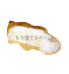 こっちゃん.シリーズ1（個別スタンプ：7）