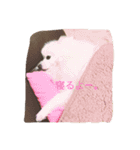 こっちゃん.シリーズ1（個別スタンプ：14）