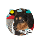 Max_Max（個別スタンプ：4）