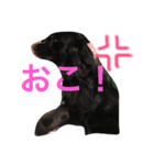 ふう大好き❤（個別スタンプ：5）